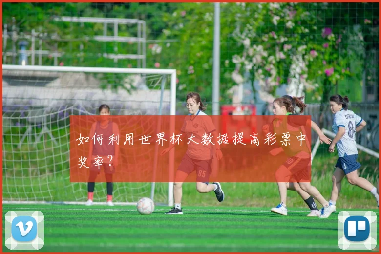 如何利用世界杯大数据提高彩票中奖率？