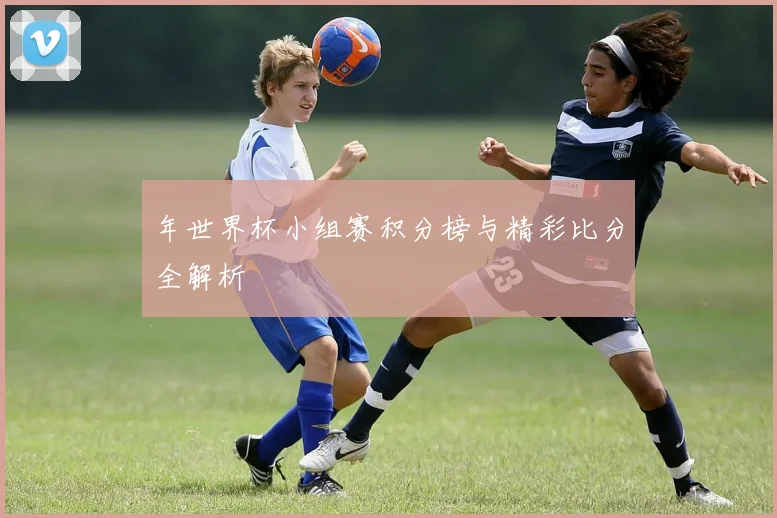年世界杯小组赛积分榜与精彩比分全解析
