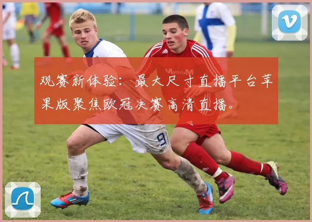 观赛新体验：最大尺寸直播平台苹果版聚焦欧冠决赛高清直播。